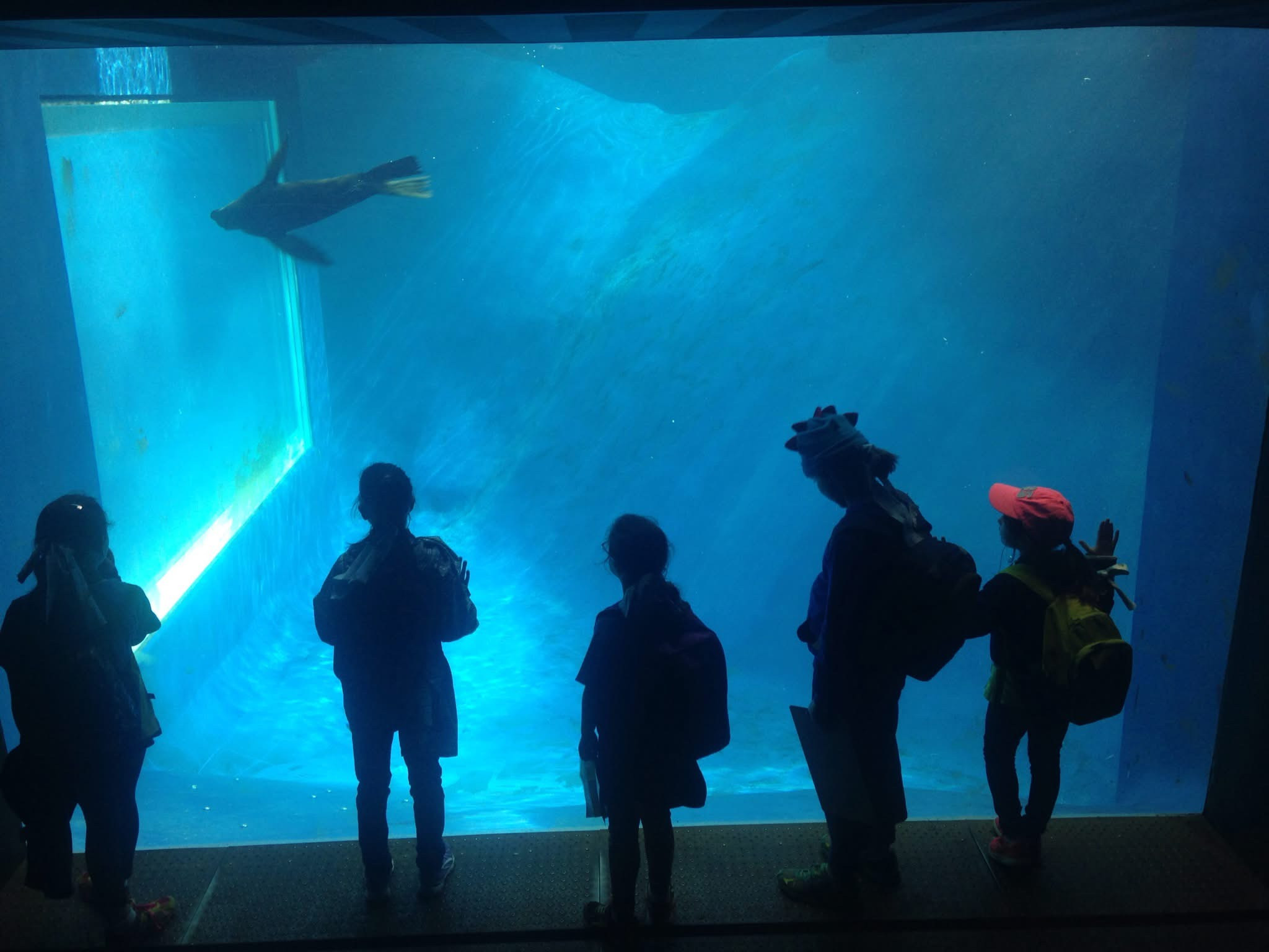 Tess Birchs zoo trip